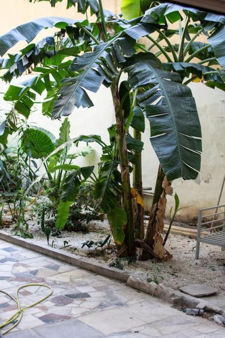 Ferienwohnung Garden Apt Athen Exterior foto
